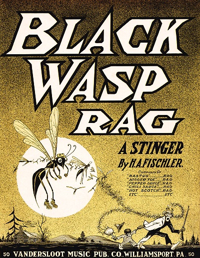 black wasp rag cover