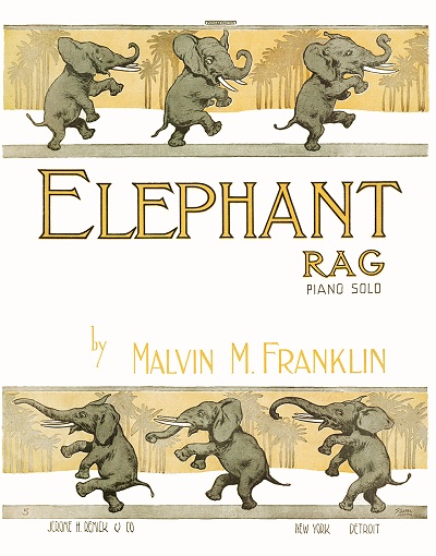 elephant rag cover