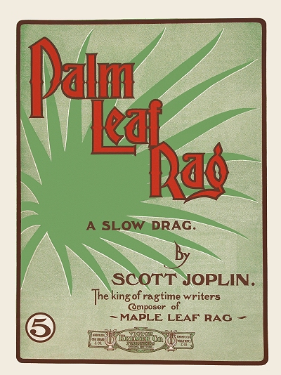 palm leaf rag
