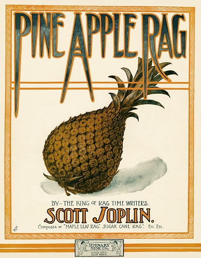  pine apple rag