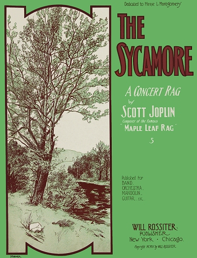 the sycamore