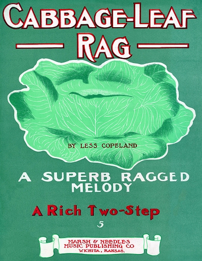 cabbage leaf rag cover