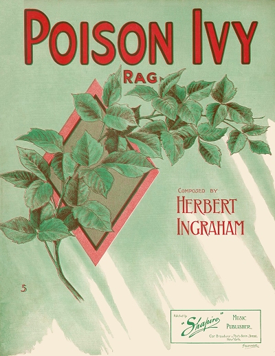poison ivy rag cover