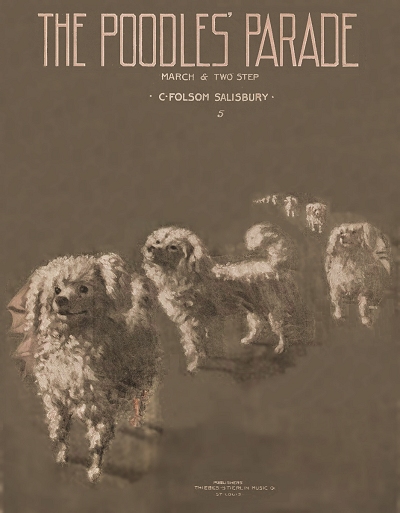 poodles on parade cover