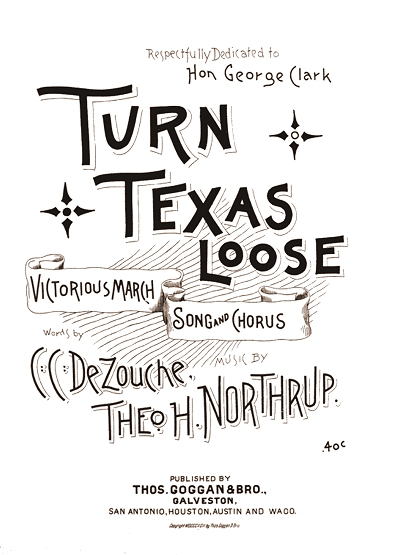 turn texas loose cover
