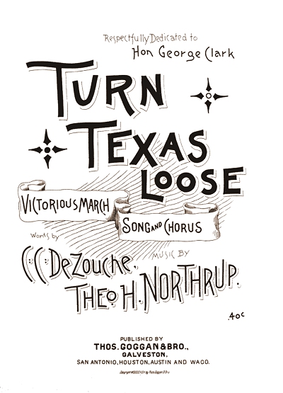 turn texas loose cover